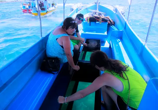 Glass Bottom Boat